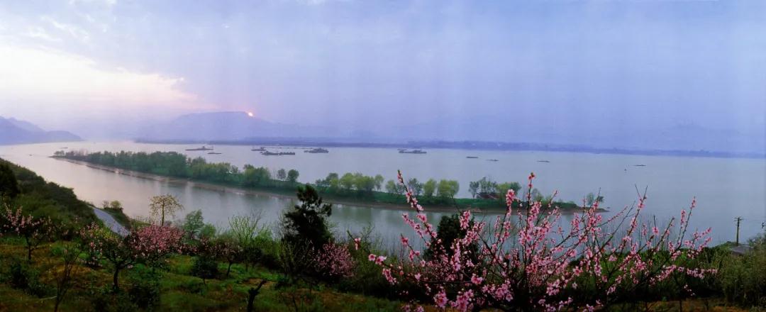 仙鶴股份有限公司官方網站 仙鶴股份有限公司官方網站